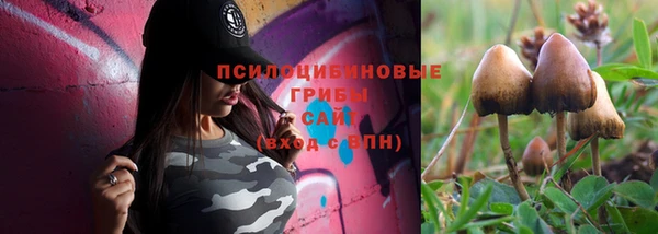 молекула духа Елизово
