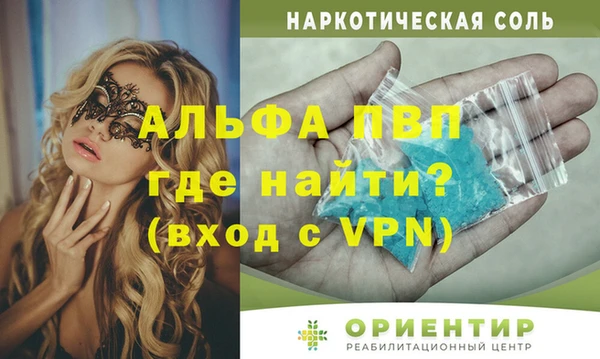 молекула духа Елизово