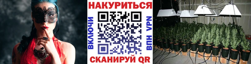 мориарти официальный сайт  Кущёвская  Шишки марихуана THC 21%  купить  